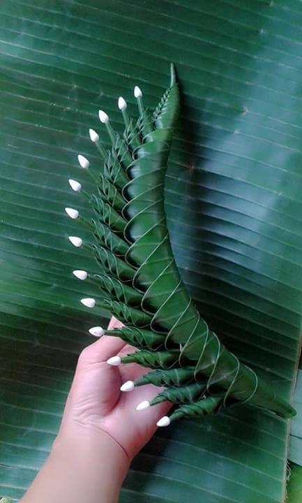Natural Food Packaging