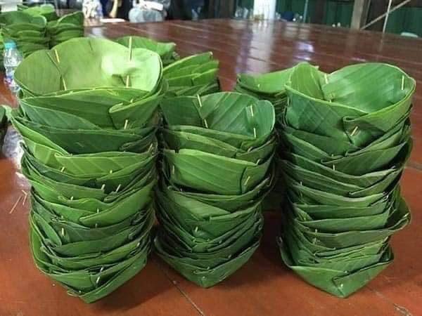 Banana Leaf Image 7